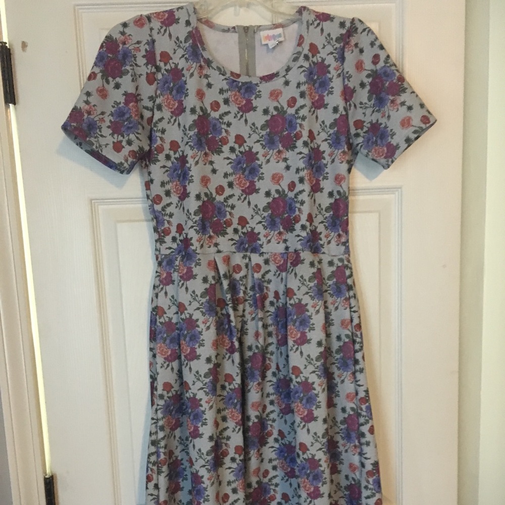 NWOT LuLaRoe Amelia Dress